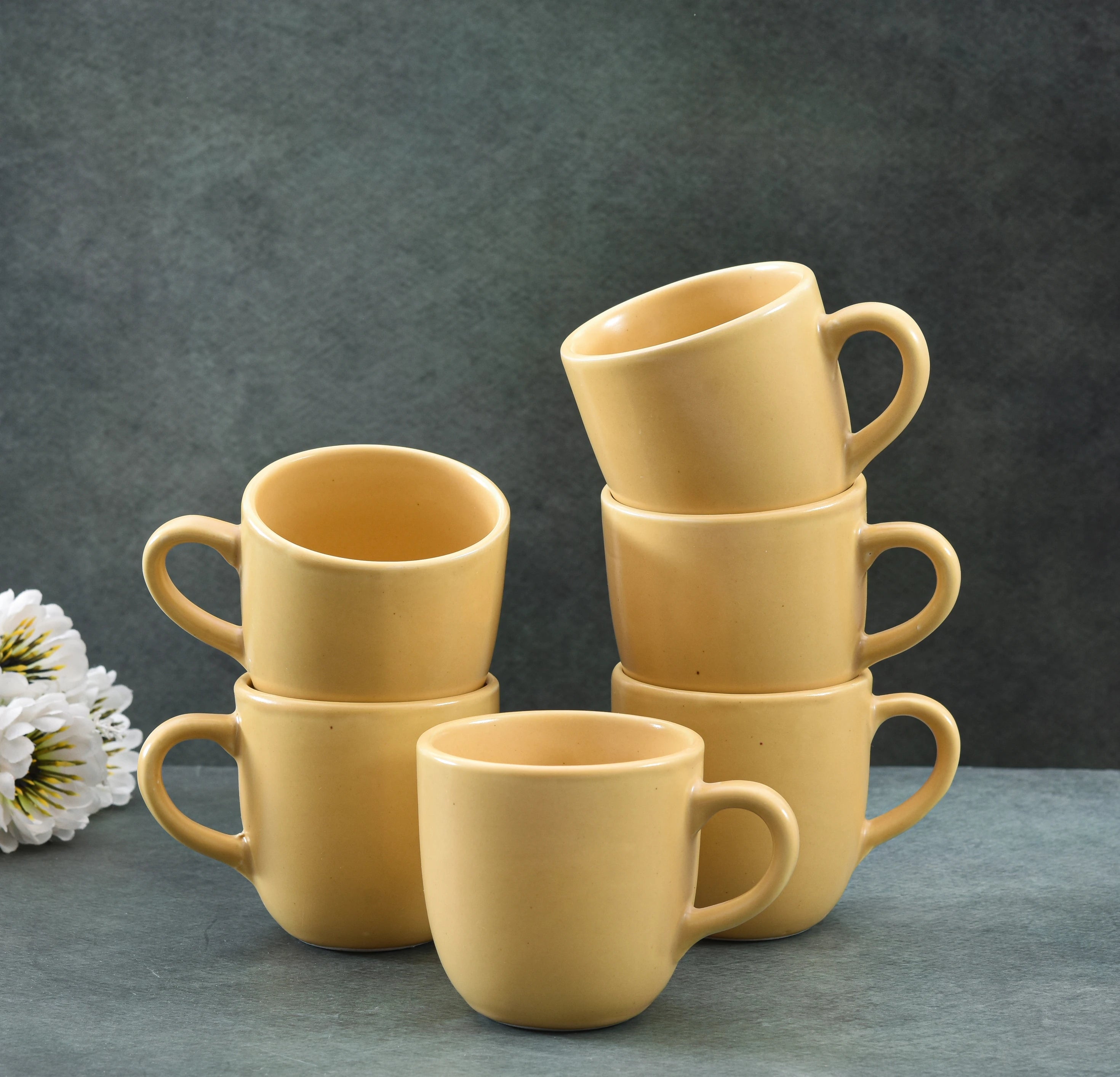 Ceramic RT Matt Finish Coffee and Tea Cup - Sanjeev Kapoor by OGGN Pack of 6